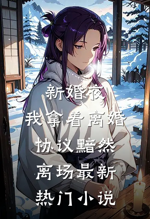 新婚夜，我拿着离婚协议黯然离场最新热门小说