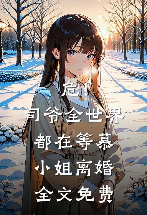 危！司爷，全世界都在等慕小姐离婚全文免费