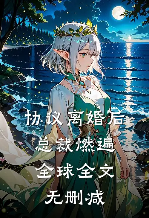 协议离婚后，总裁燃遍全球全文无删减