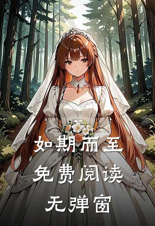 如期而至免费阅读无弹窗