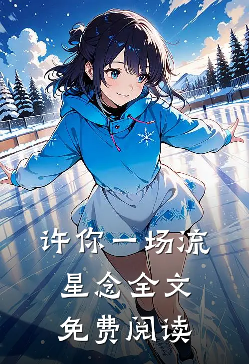 许你一场流星念全文免费阅读