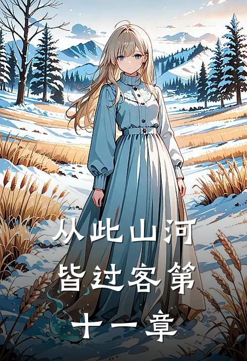 从此山河皆过客第十一章