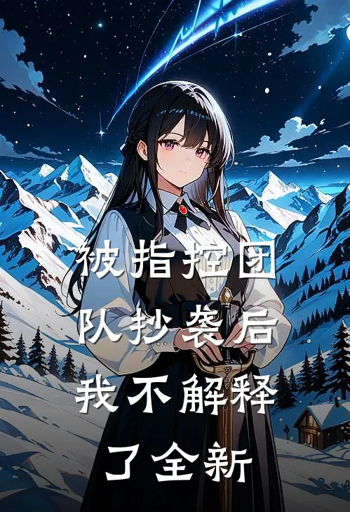 被指控团队抄袭后，我不解释了全新