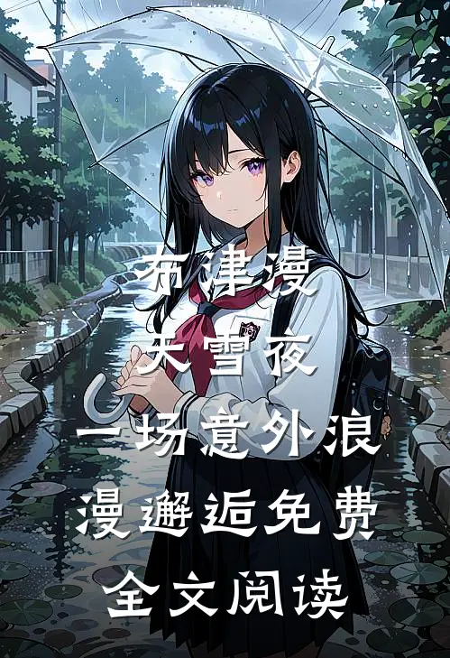 布津漫天雪夜：一场意外浪漫邂逅免费全文阅读