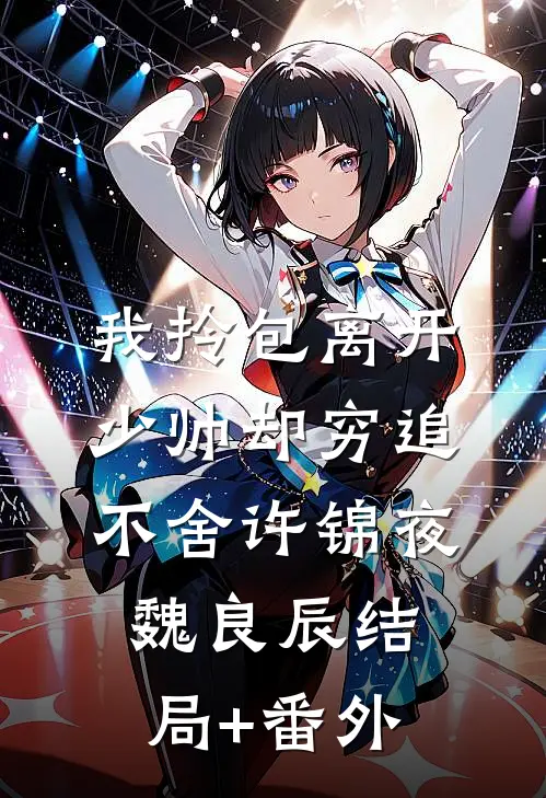 我拎包离开，少帅却穷追不舍许锦夜魏良辰结局+番外