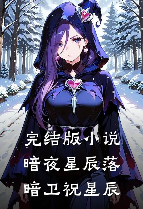 完结版小说暗夜星辰落暗卫祝星辰