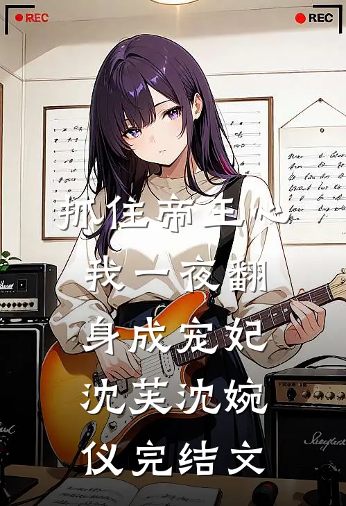 抓住帝王心，我一夜翻身成宠妃沈芙沈婉仪完结文