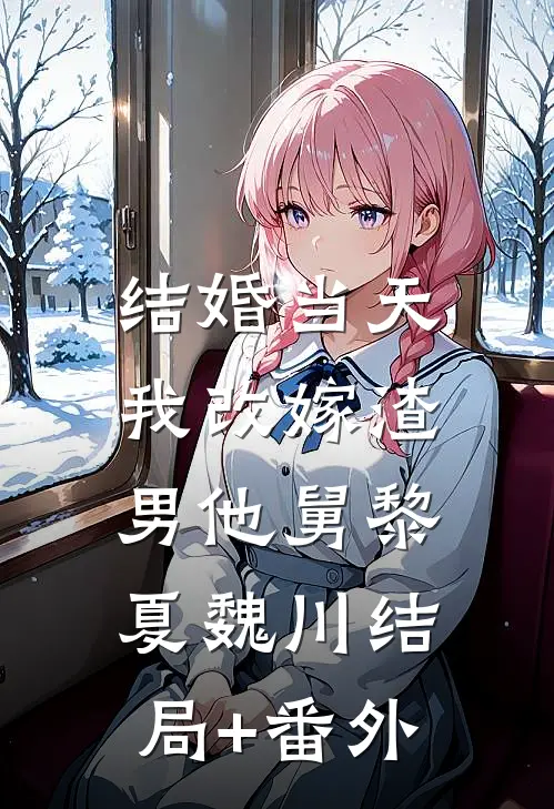结婚当天，我改嫁渣男他舅黎夏魏川结局+番外