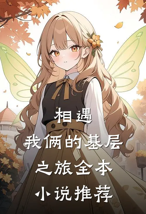 相遇：我俩的基层之旅全本小说推荐