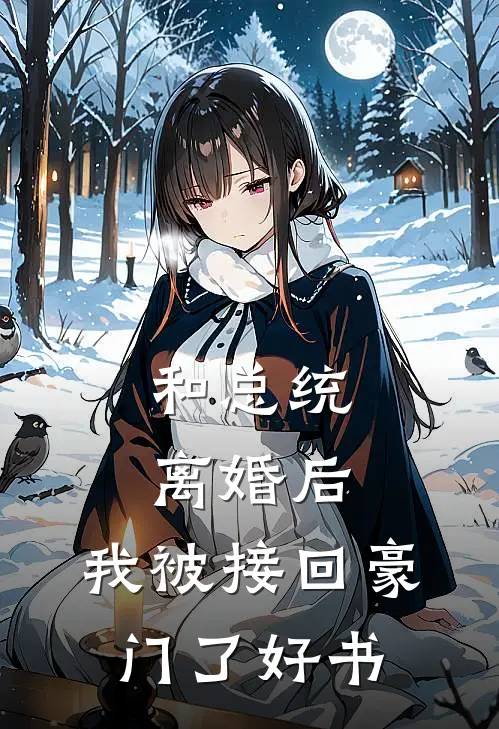 和总统离婚后，我被接回豪门了好书