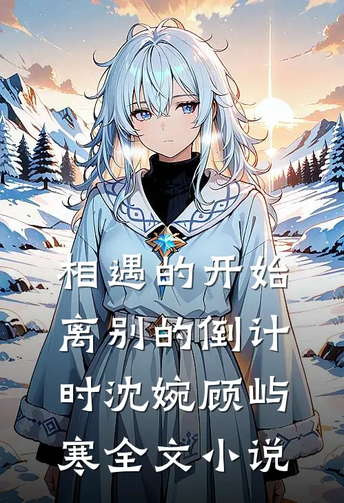 相遇的开始，离别的倒计时沈婉顾屿寒全文小说