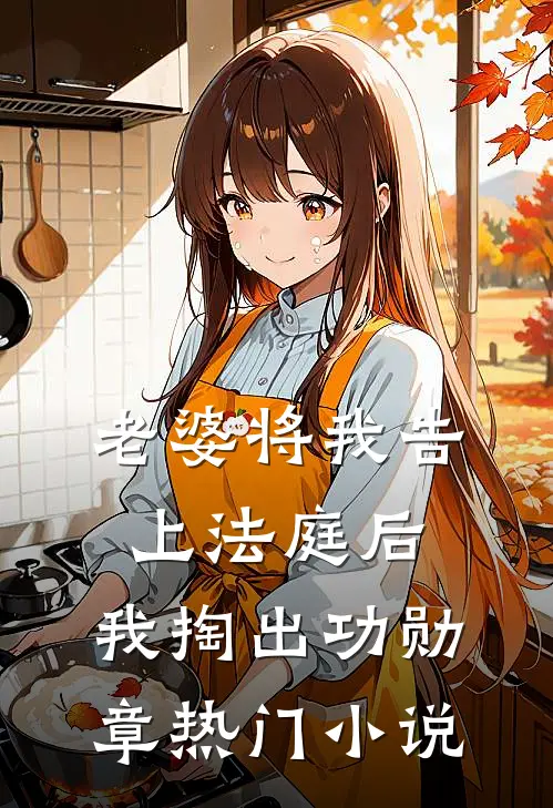 老婆将我告上法庭后，我掏出功勋章热门小说