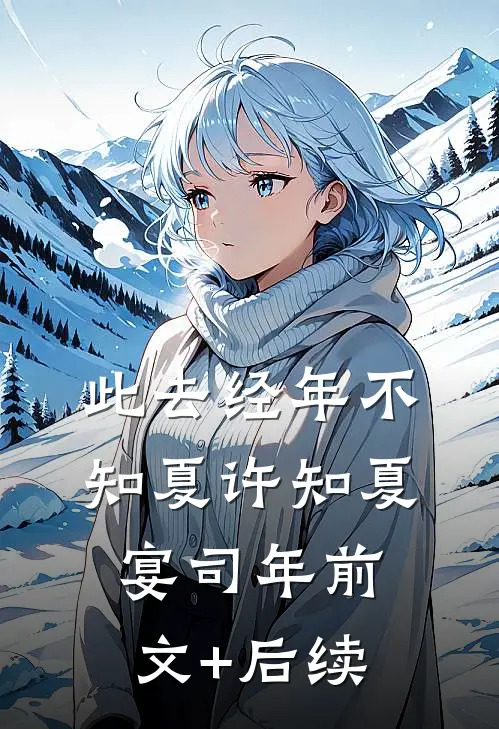 此去经年不知夏许知夏宴司年前文+后续