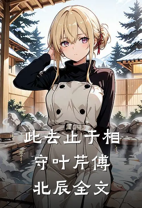 此去止于相守叶芹傅北辰全文