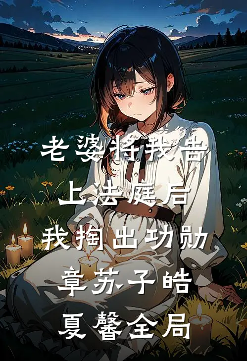 老婆将我告上法庭后，我掏出功勋章苏子皓夏馨全局