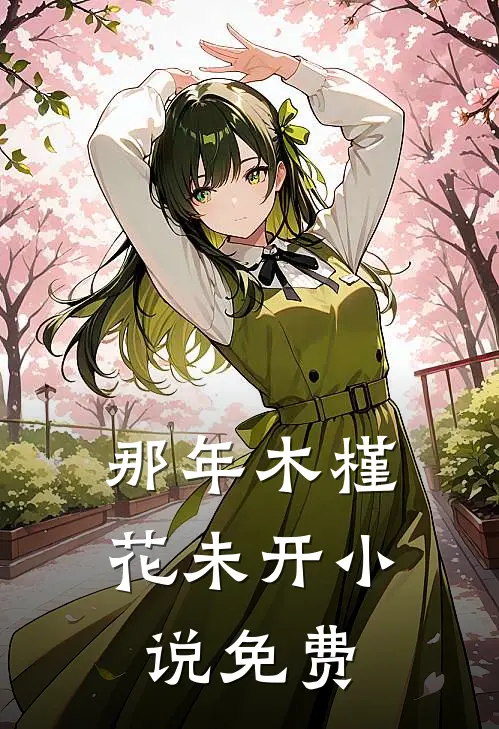 那年木槿花未开小说免费