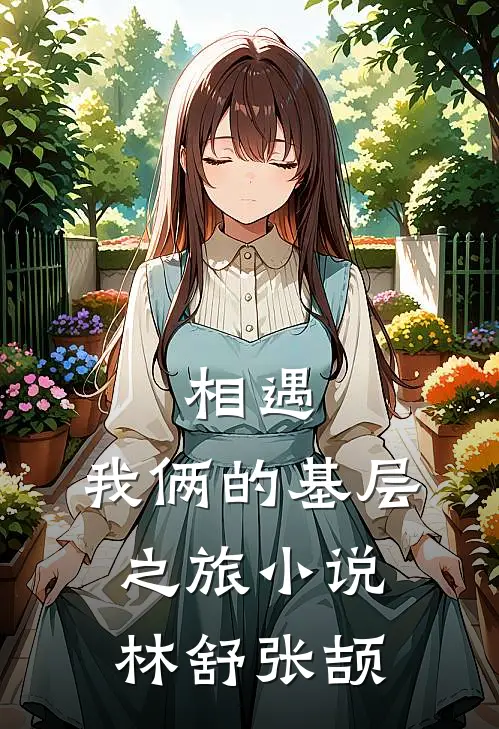 相遇：我俩的基层之旅小说林舒张颉