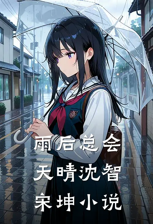 雨后总会天晴沈智宋坤小说