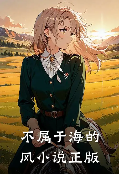 不属于海的风小说正版