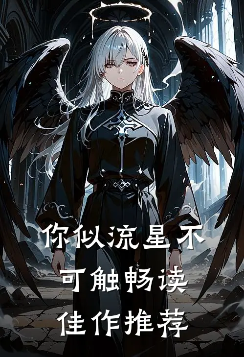 你似流星不可触畅读佳作推荐