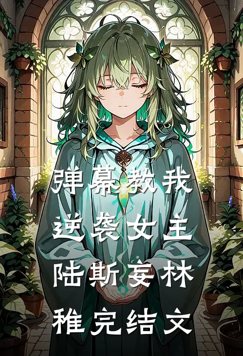 弹幕教我逆袭女主陆斯妄林稚完结文