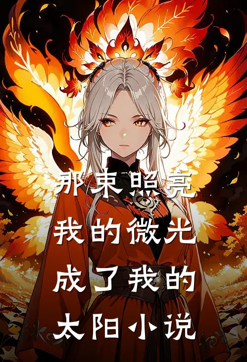 那束照亮我的微光，成了我的太阳小说