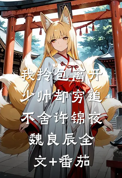 我拎包离开，少帅却穷追不舍许锦夜魏良辰全文+番茄