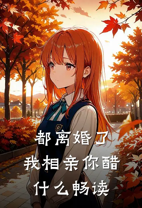 都离婚了，我相亲你醋什么畅读
