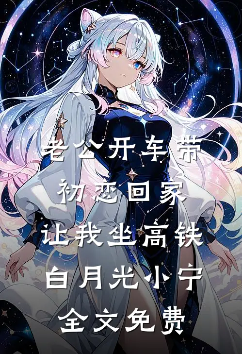 老公开车带初恋回家，让我坐高铁白月光小宁全文免费
