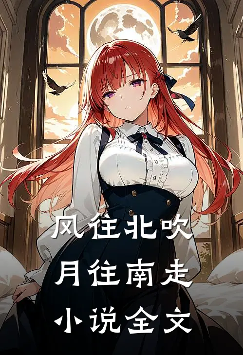 风往北吹月往南走小说全文