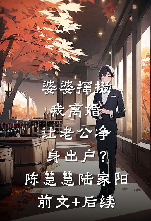 婆婆撺掇我离婚，让老公净身出户？陈慧慧陆家阳前文+后续