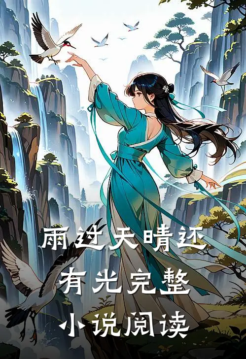 雨过天晴还有光完整小说阅读